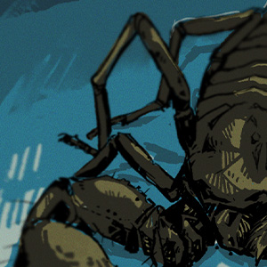 Heterometrus spinifer