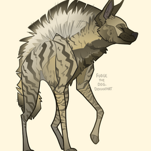 Striped Hyena