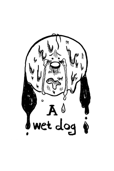 A WET DOG