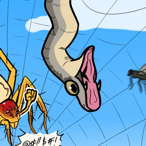The First Hunt