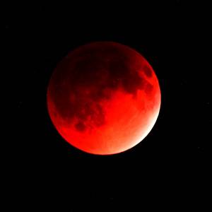 Complete Torture Part3