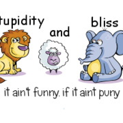 Stupidity and Bliss 