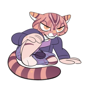Comfy Spot