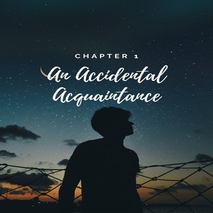 An Accidental Acquaintance