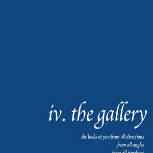 iv. the gallery