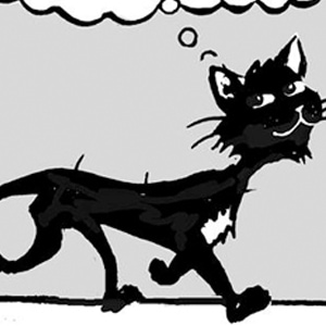 005 - Where is the ground beef?