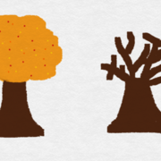 As The Seasons Change