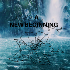 Chapter 6: A New Beginning