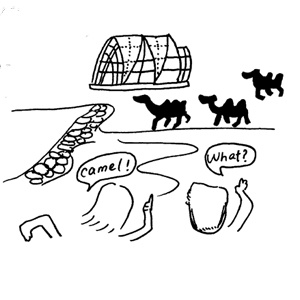 Camel on the Beach #Indonesia