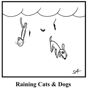 Raining Cats and Dogs