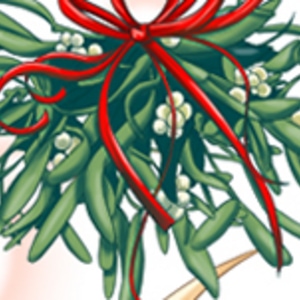 (Event) Christmas Gifting Event for Readers