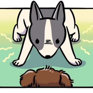 The Lost Toy