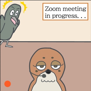 Ninja on the Zoom meeting