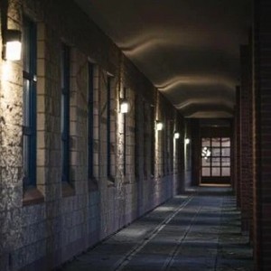 CHAPTER 3: The Wing That Must Not Be Opened