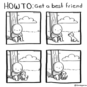 HOW TO: Get a best friend