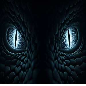 The castle of secrets, a dragon a pupil and the truth behind the hologram