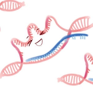 Can genome instability by R-Loops increase risk of cancer?