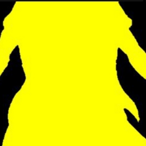 Cap&iacute;tulo 7: Novo fator, novo resultado. 