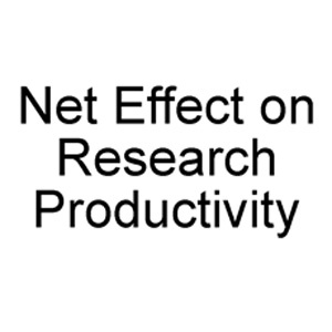 The Internet Effect on Productivity
