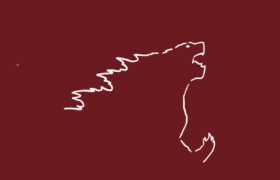 custom banner