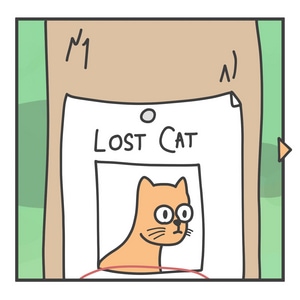 Aww, An Innocent Lost Cat!