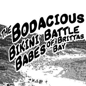 The Bodacious Bikini Battle Babes of Brittas Bay