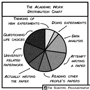 The Academic Work Distribution Chart