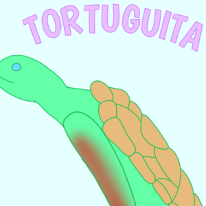 Tortuguita 