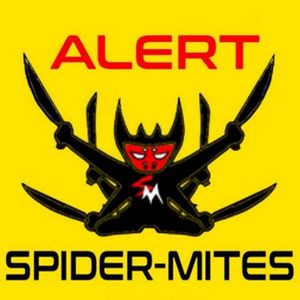 SPIDER-MITES#1