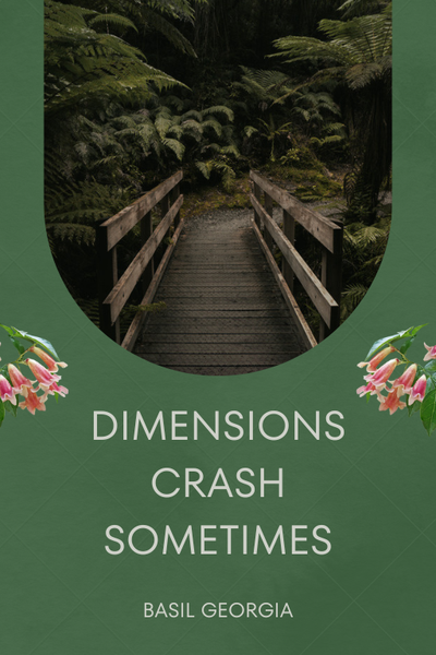 Dimensions Crash Sometimes 