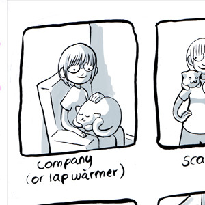 Things your cat is useful for