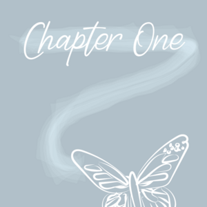 Chapter 1