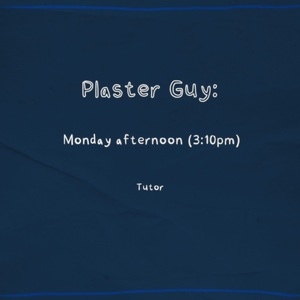 Plaster Guy