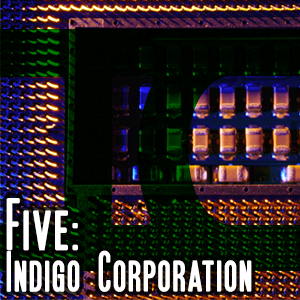 Five: Indigo Corporation