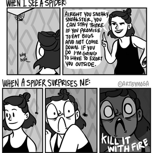 Surprise Spiders