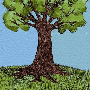 &Aacute;rbol