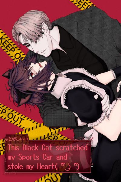 That black cat scratched my sports car and stole my heart