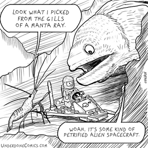 Cleaner Shrimp, Eel and Lego