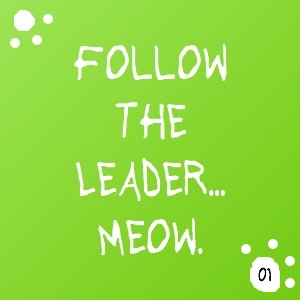 Follow the Leader... Meow.