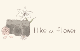custom banner