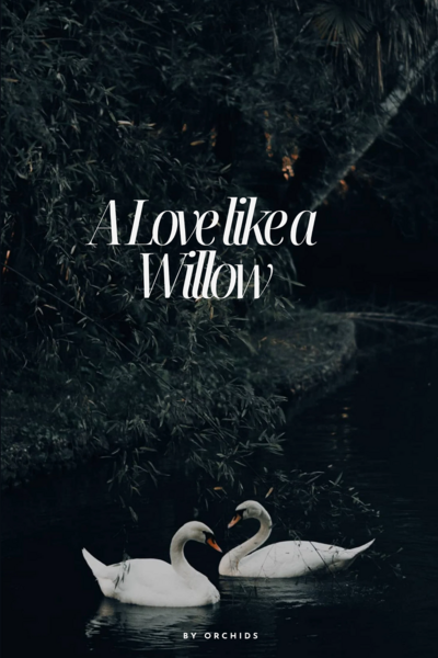 A Love like a Willow