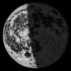 S01-E08: RED HERRING