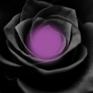 Les secrets du tueur à l'orchidée noire