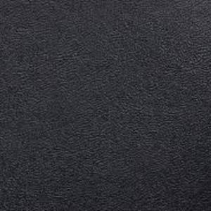 Eviction Ants Part 2