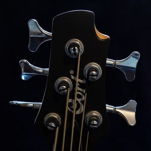 Plain Black Tee: Crestfallen