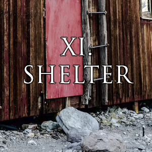 XI. Shelter