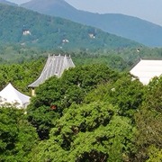 Gone but Not Forgotten