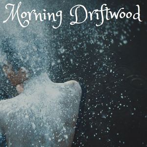 Morning Driftwood