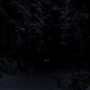 The Rabbit in the Wolf's Den