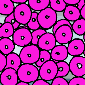 Severus Snape Shopping